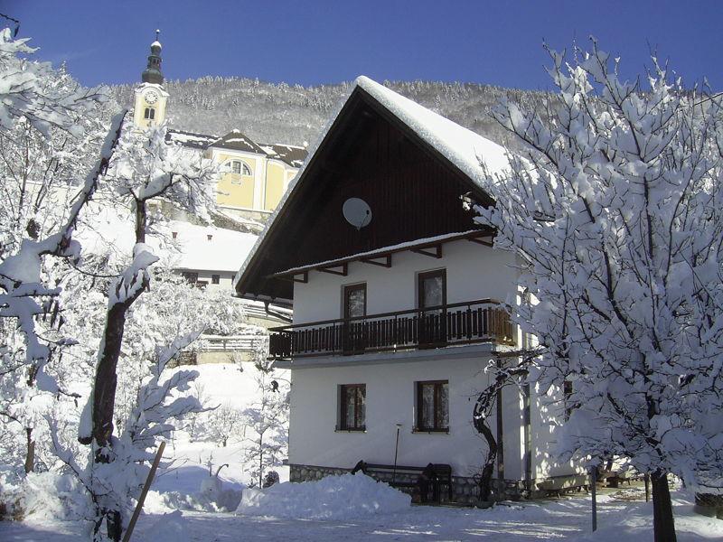 Private Apartments Bohinj Ribčev Laz Eksteriør billede