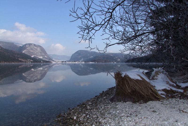 Private Apartments Bohinj Ribčev Laz Eksteriør billede