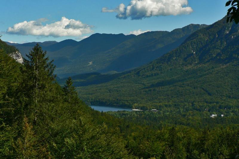 Private Apartments Bohinj Ribčev Laz Eksteriør billede