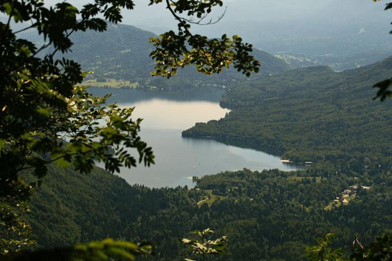 Private Apartments Bohinj Ribčev Laz Eksteriør billede