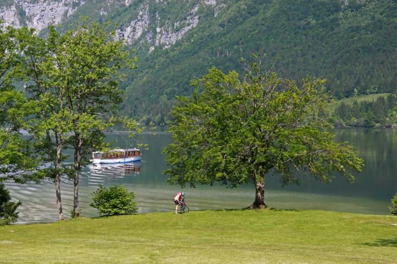 Private Apartments Bohinj Ribčev Laz Eksteriør billede